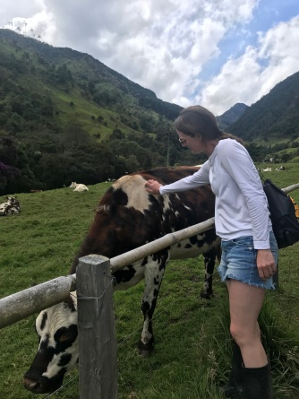 Catie LOVES cows